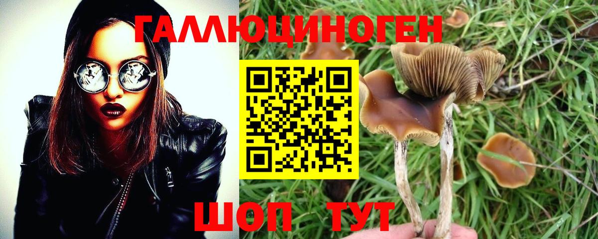 Псилоцибиновые грибы мухоморы  Вход с VPN  Владивосток 