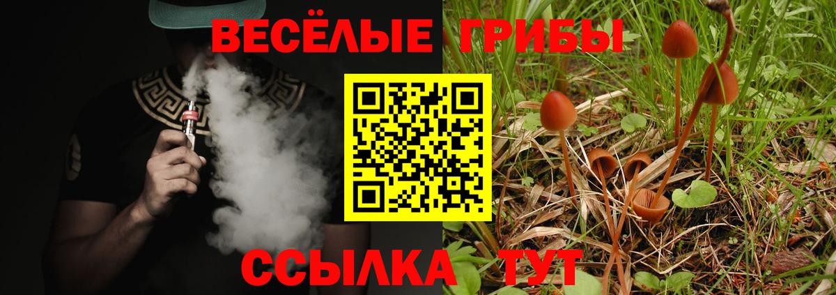 Галлюциногенные грибы MAGIC MUSHROOMS Владивосток